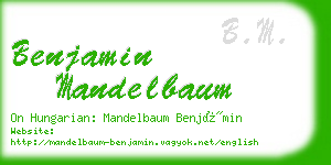 benjamin mandelbaum business card